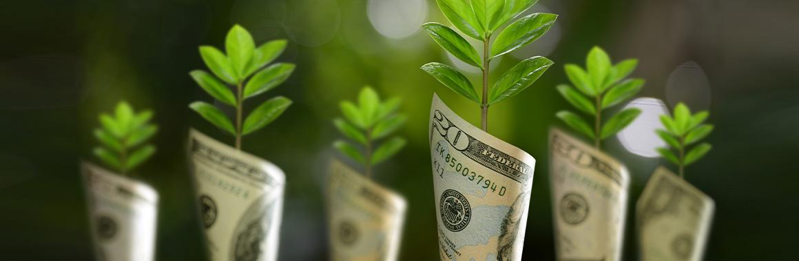 USD: la tensión se dispara