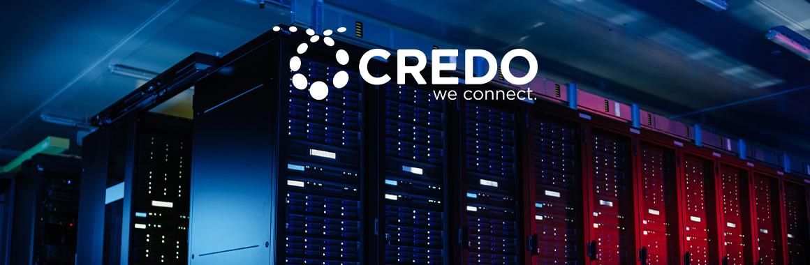 IPO Credo Technology Group: цифровая инфраструктура для бизнеса