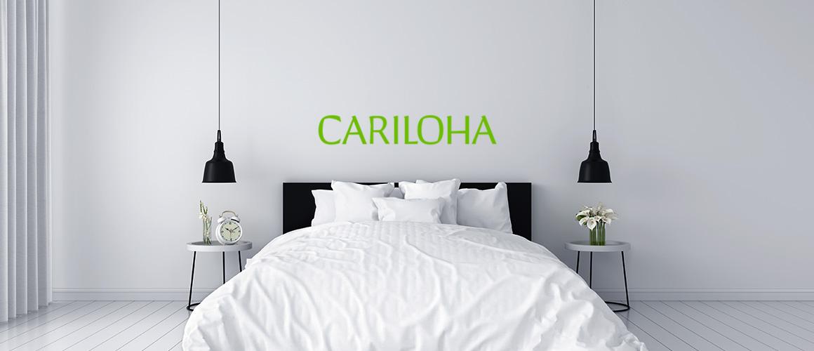 IPO Cariloha: "зелені" інвестиції в майбутнє