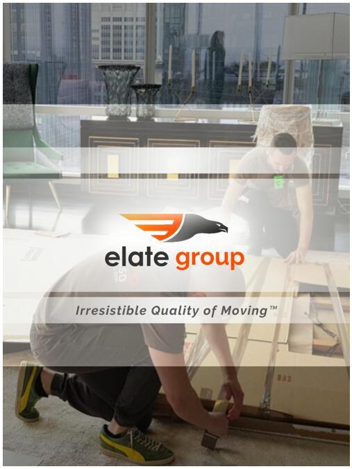 Коротка інформація про Elate Group