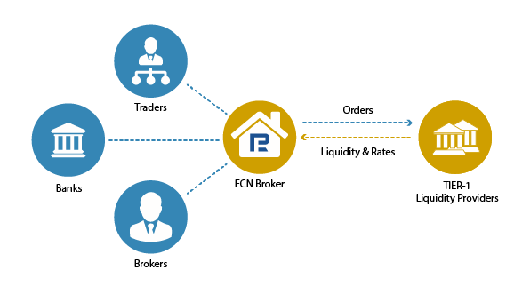 broker forex ecn