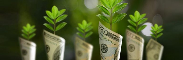 How to invest 10,000 USD? - R Blog - RoboForex